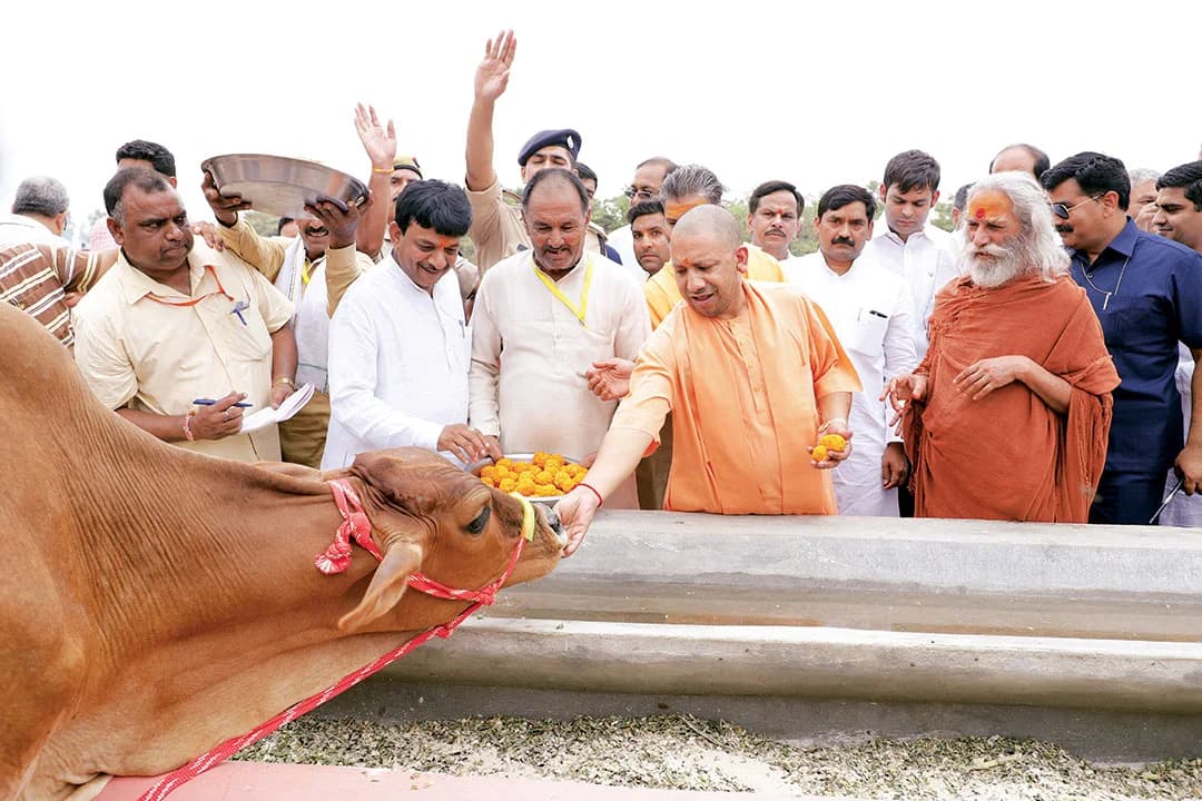 गौ संरक्षण