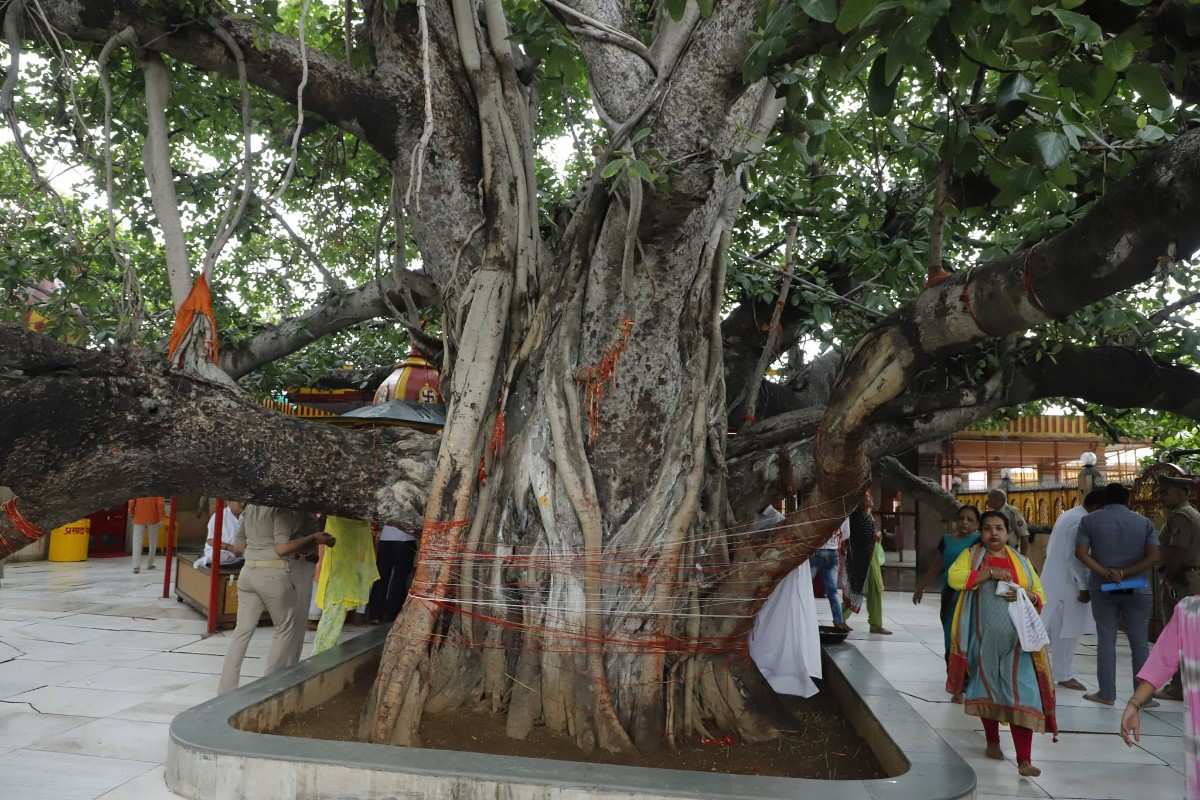 अक्षय वट पूजन